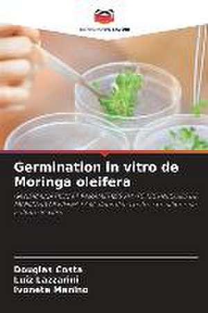 Germination in vitro de Moringa oleifera de Douglas Costa