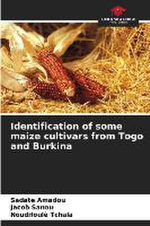 Identification of some maize cultivars from Togo and Burkina de Sadate Amadou