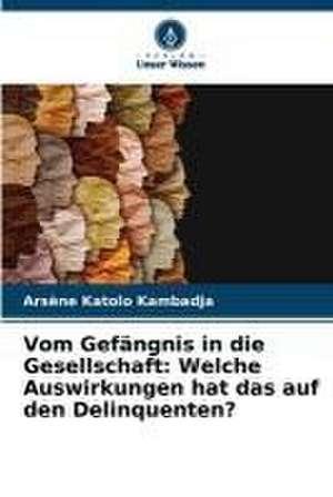 Vom Gefängnis in die Gesellschaft: Welche Auswirkungen hat das auf den Delinquenten? de Arsène Katolo Kambadja