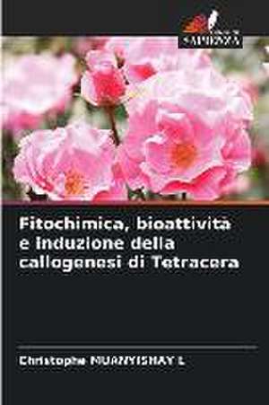 Fitochimica, bioattività e induzione della callogenesi di Tetracera de Christophe Muanyishay L