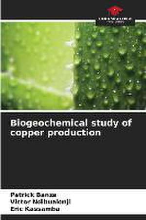 Biogeochemical study of copper production de Patrick Banza