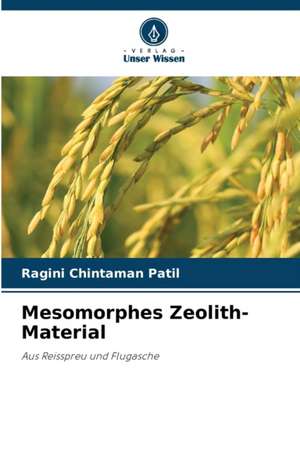 Mesomorphes Zeolith-Material de Ragini Chintaman Patil