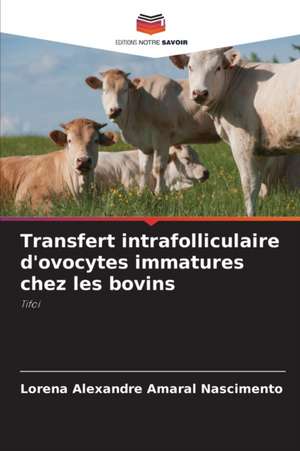 Transfert intrafolliculaire d'ovocytes immatures chez les bovins de Lorena Alexandre Amaral Nascimento