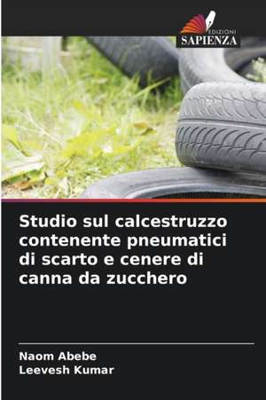 Studio sul calcestruzzo contenente pneumatici di scarto e cenere di canna da zucchero de Naom Abebe