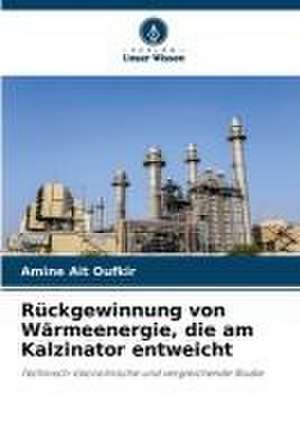 Rückgewinnung von Wärmeenergie, die am Kalzinator entweicht de Amine Ait Oufkir