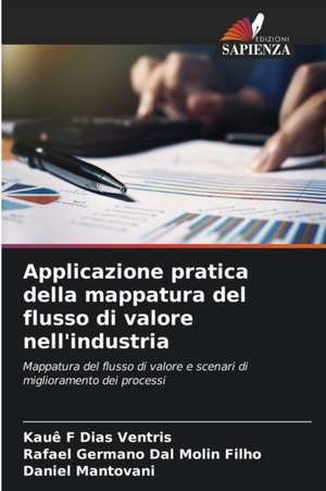 Applicazione pratica della mappatura del flusso di valore nell'industria de Kauê F Dias Ventris