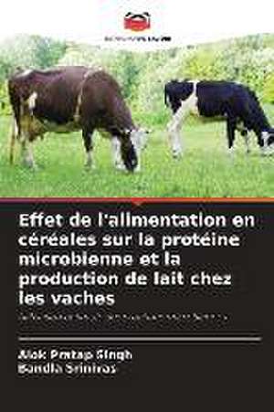 Effet de l'alimentation en céréales sur la protéine microbienne et la production de lait chez les vaches de Alok Pratap Singh