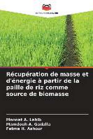 Récupération de masse et d'énergie à partir de la paille de riz comme source de biomasse de Mennat A. Labib