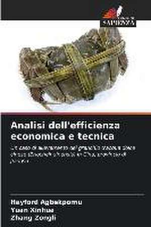 Analisi dell'efficienza economica e tecnica de Hayford Agbekpornu