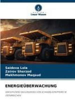 ENERGIEÜBERWACHUNG de Saidova Lola