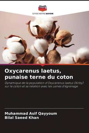 Oxycarenus laetus, punaise terne du coton de Muhammad Asif Qayyoum