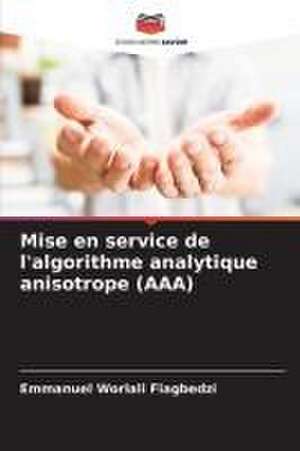 Mise en service de l'algorithme analytique anisotrope (AAA) de Emmanuel Worlali Fiagbedzi