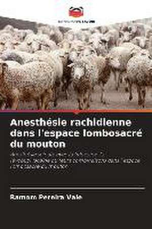 Anesthésie rachidienne dans l'espace lombosacré du mouton de Ramom Pereira Vale