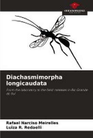 Diachasmimorpha longicaudata de Rafael Narciso Meirelles