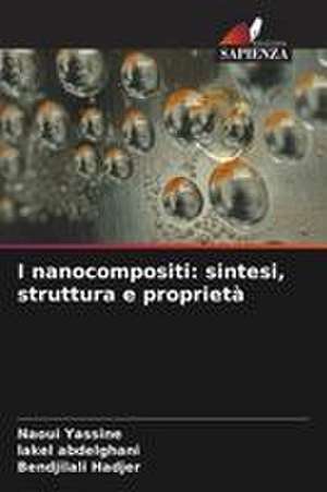 I nanocompositi de Naoui Yassine