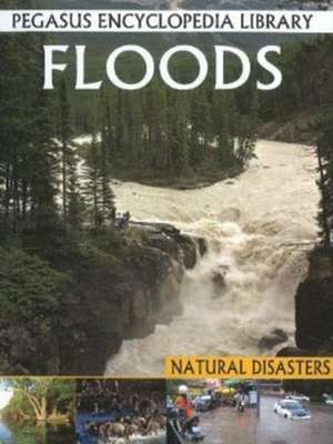 Floods: Pegasus Encyclopedia Library de Pallabi B Tomar