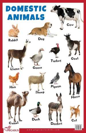 Domestic Animals Educational Chart de Pegasus