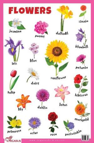 Flowers Educational Chart de Pegasus