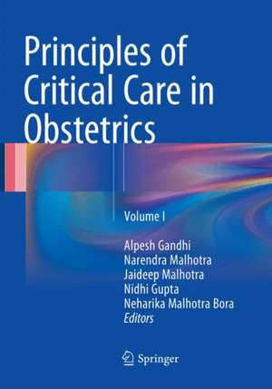 Principles of Critical Care in Obstetrics: Volume I de Alpesh Gandhi