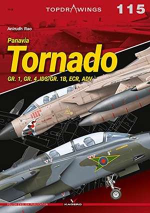 Panavia Tornado de Anirudh Rao