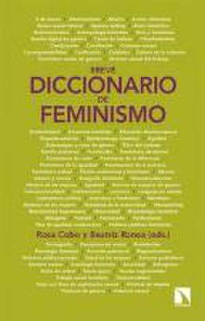 Breve diccionario de feminismo de Rosa Cobo Bedia