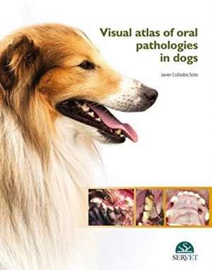 VISUAL ATLAS OF ORAL PATHOLOGIES IN DOGS de JAVIER COLLADOS SOTO