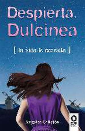 Despierta, Dulcinea : la visa te necesita de Ángeles Callejón Gutiérrez