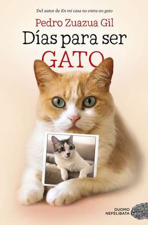 Días Para Ser Gato de Pedro Zuazua Gil