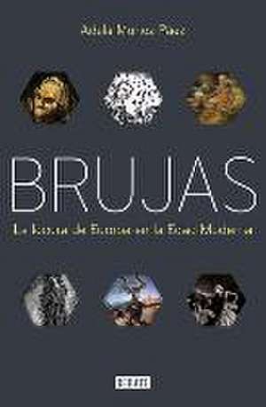 Brujas: La Locura de Europa En La Edad Moderna / Witches: Europes Madness in the Modern Age de Adela Muñoz Páez