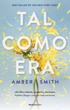 Tal Como Era / The Way I Used to Be de Amber Smith