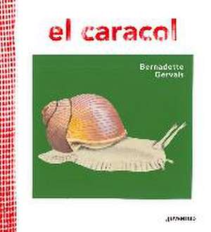 El Caracol de Bernadette Gervais