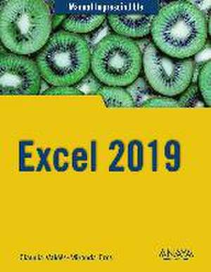 Excel 2019 de Claudia Valdés-Miranda Cros