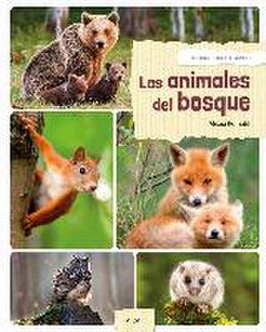 Los Animales del Bosque de Alexia Romatif