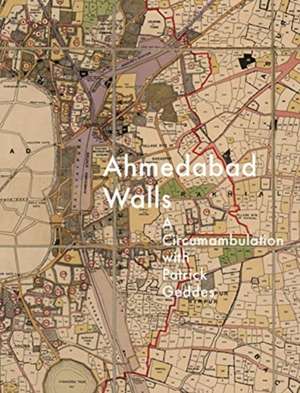 Ahmedabad Walls de Robert Stephens