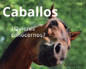 Caballos de Susana Conde