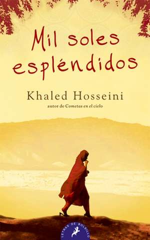 Mil Soles Esplendidos: Proceedings of the International Workshop on 'Nets and Fishing Gear in Classical Antiquity - A First Approach, ' Cadiz de Khaled Hosseini