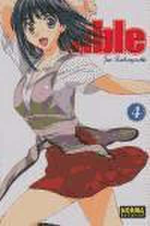 School Rumble 4 de Jin Kobayashi