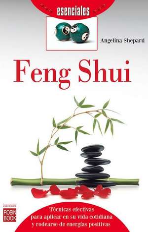 Feng Shui: Metodos Convencionales y Terapias Alternativas Para Prevenir y Combatir de Forma Rapida y Segura Los Dolores Dors