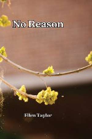 No Reason de Ellen Taylor