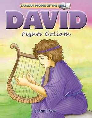 David Fights Goliath de Joy Melissa Jensen