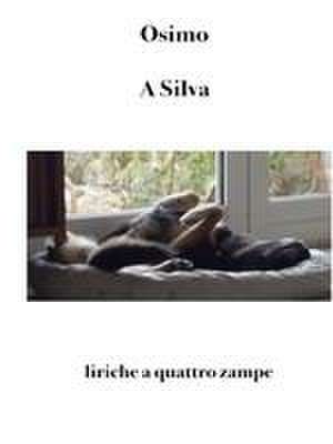 A Silva de Bruno Osimo