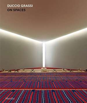 Duccio Grassi: On Spaces de Patrizia Catalano