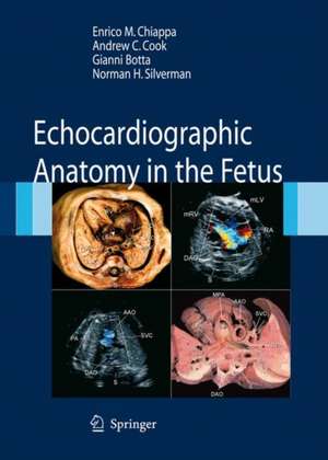 Echocardiographic Anatomy in the Fetus de Enrico Chiappa