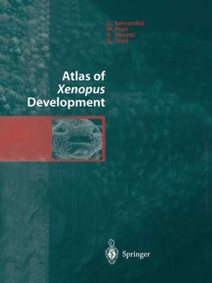 Atlas of Xenopus Development de G. Bernardini