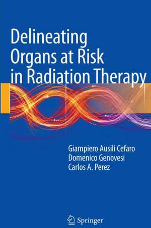 Delineating Organs at Risk in Radiation Therapy de Giampiero Ausili Cèfaro