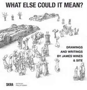 What Else Could It Mean? de Phillip Denny