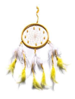 DREAMCATCHER FIRE SPIRIT