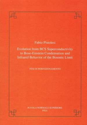 Evolution from BCS super-conductivity to Bose-Einstein condensation and infrared behavior of the bosonic limit de Fabio Pistolesi