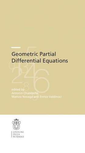 Geometric Partial Differential Equations de Antonin Chambolle