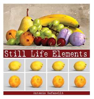 Still Life Elements de Antonio Rafanelli